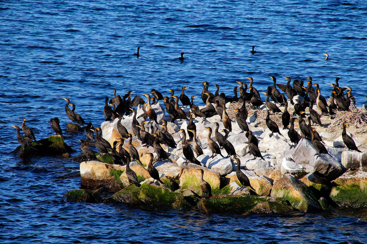 ��������� ����� �������  �� PhotoGeek.ru #�������� ���