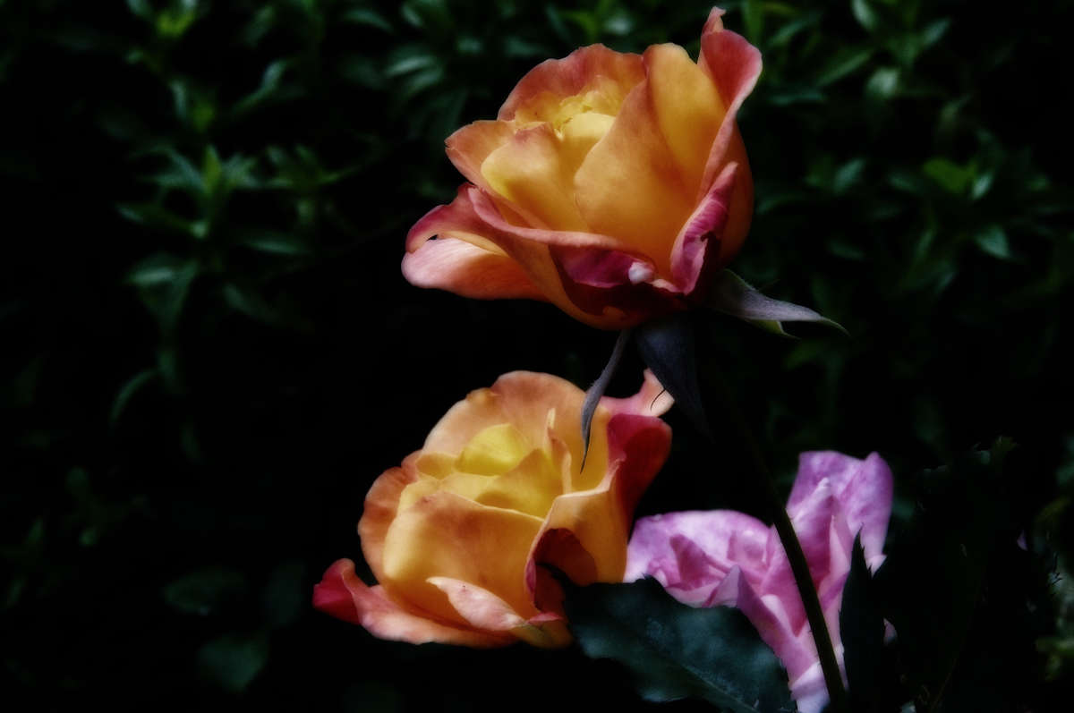 � ���� ������ ����� �������  �� PhotoGeek.ru #������ ��� �������