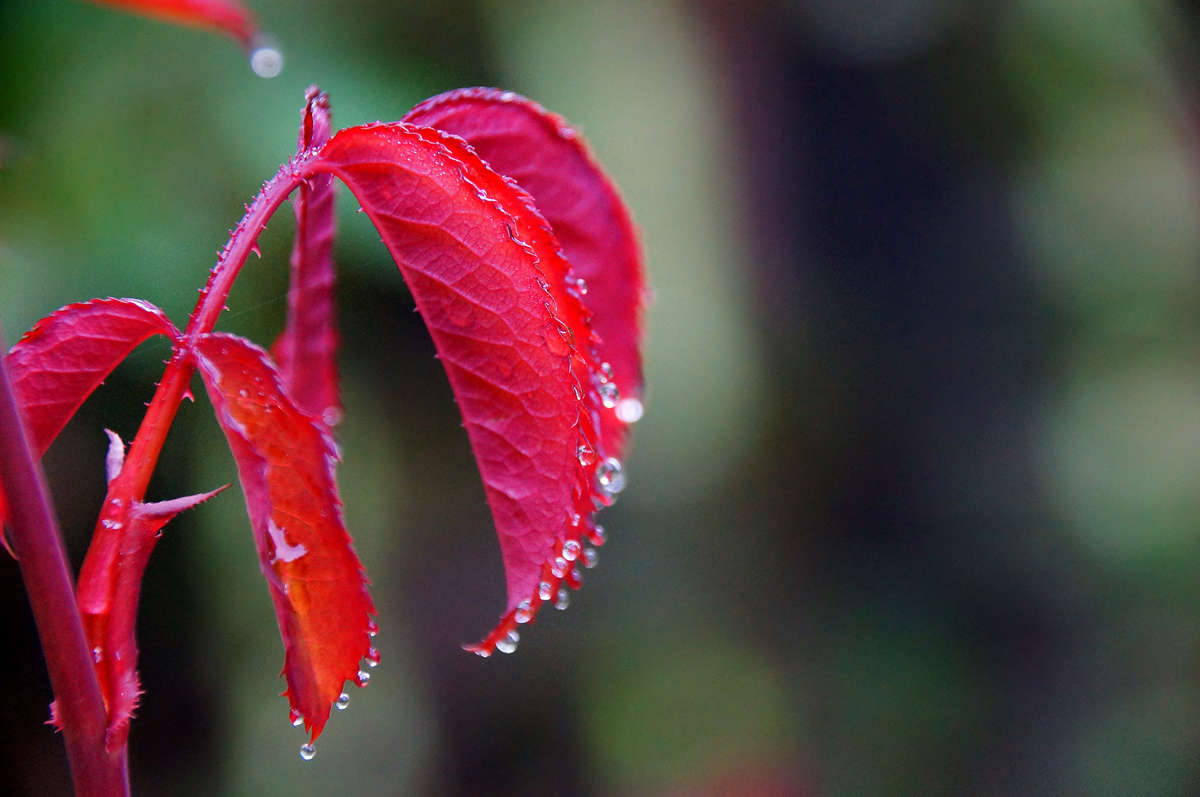 ��������� ������� ����� �������  �� PhotoGeek.ru #������ ��� �������