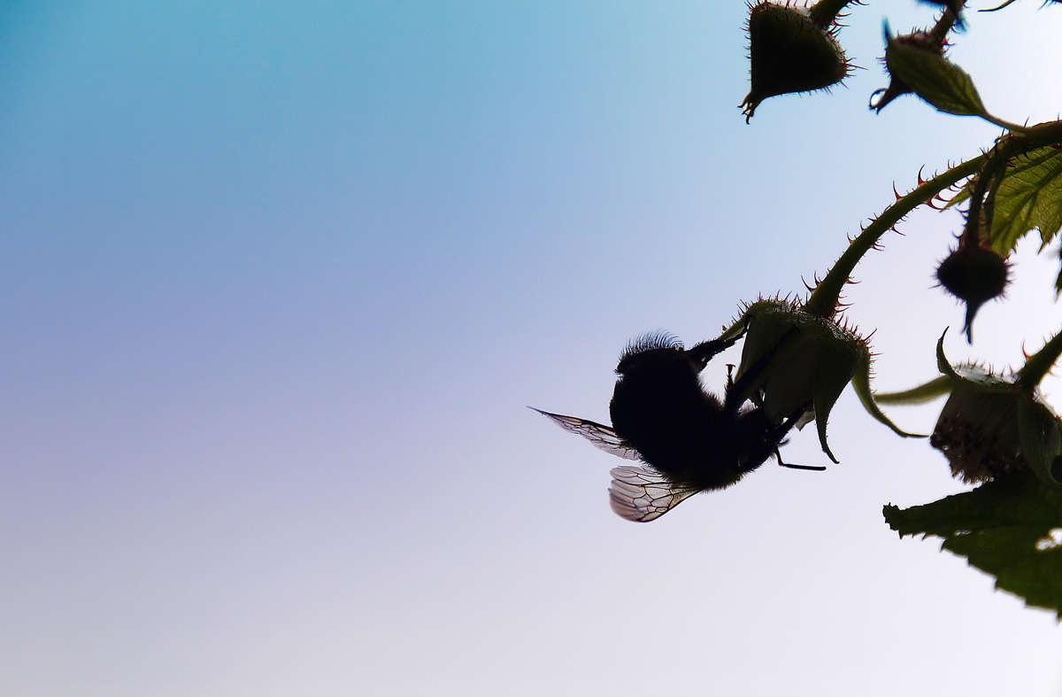 �� ������� ������� ����� �������  �� PhotoGeek.ru #�������� ��� #������ ��� �������