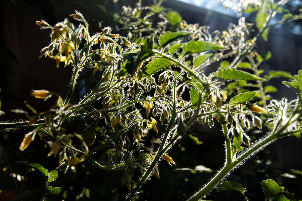 ���������� ������ �������� ����� �������  �� PhotoGeek.ru #������ ��� �������