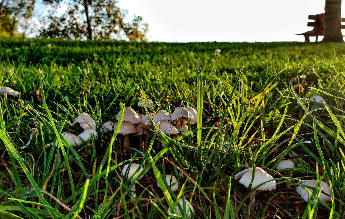 ��� ����� �� �� ���� ����� �������  �� PhotoGeek.ru #������ ��� �������