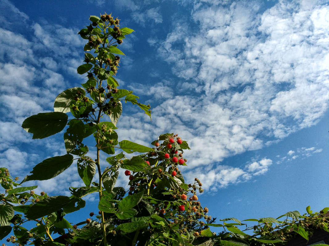 �������  �������� ����� �������  �� PhotoGeek.ru #������ ��� �������