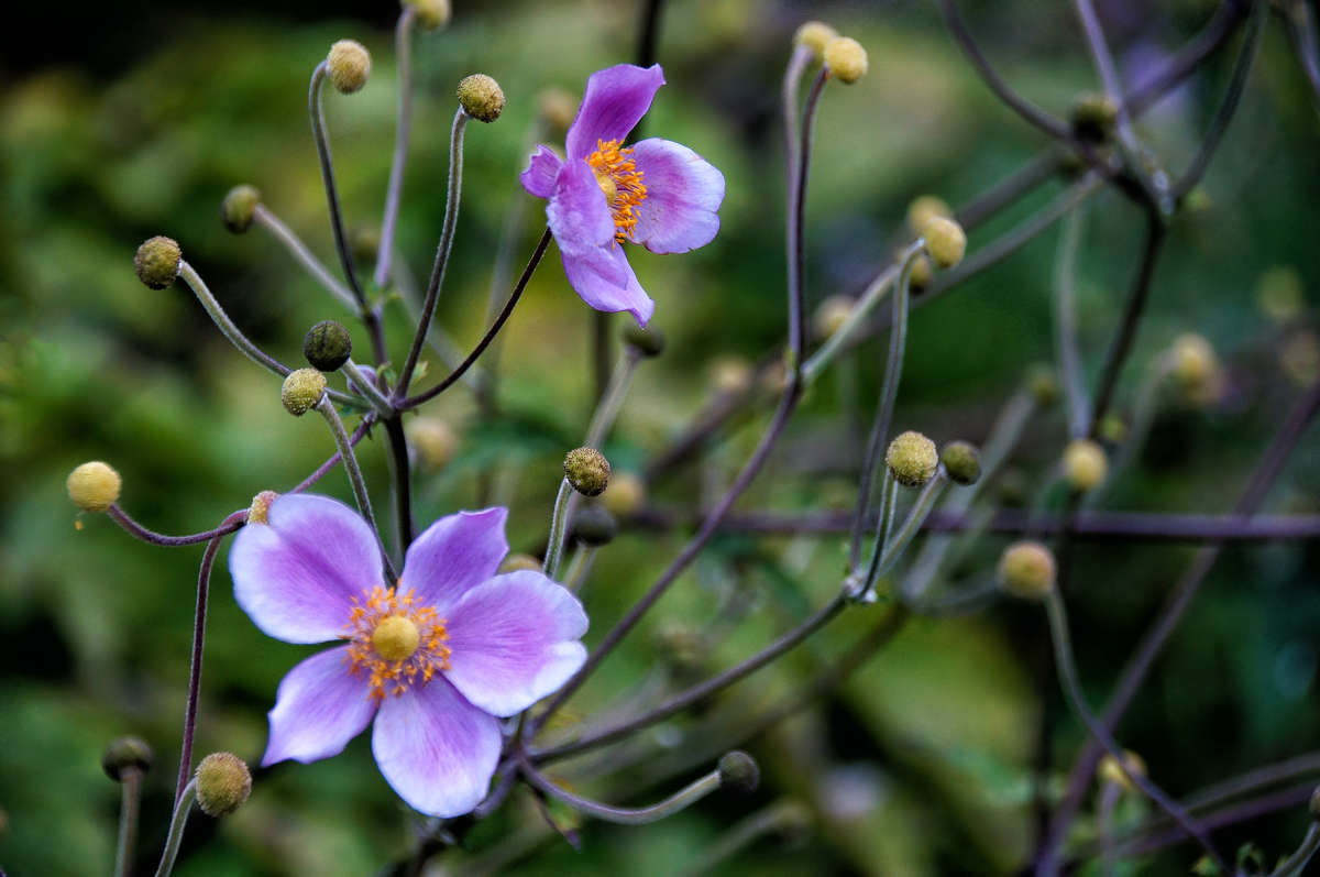 ����� ����� �������  �� PhotoGeek.ru #������ ��� �������