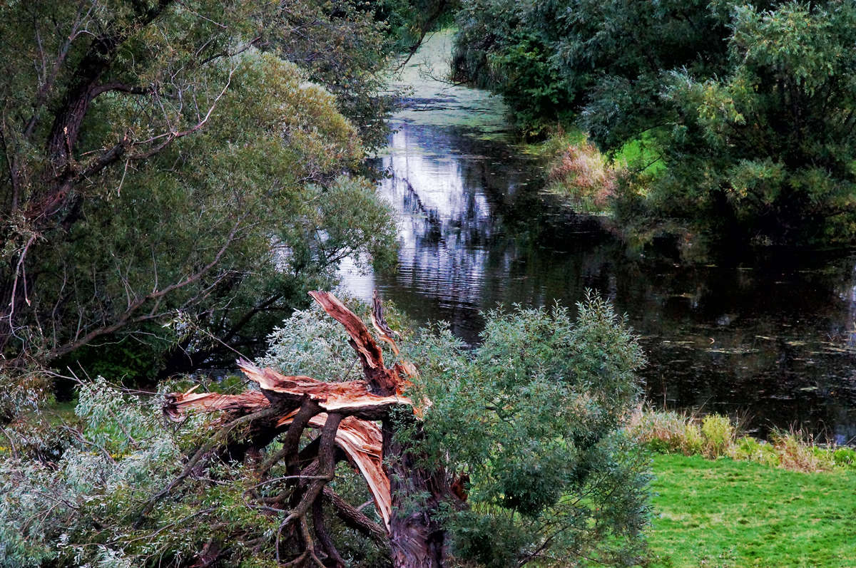 ����� ��������� ����� �������  �� PhotoGeek.ru #������ ��� �������