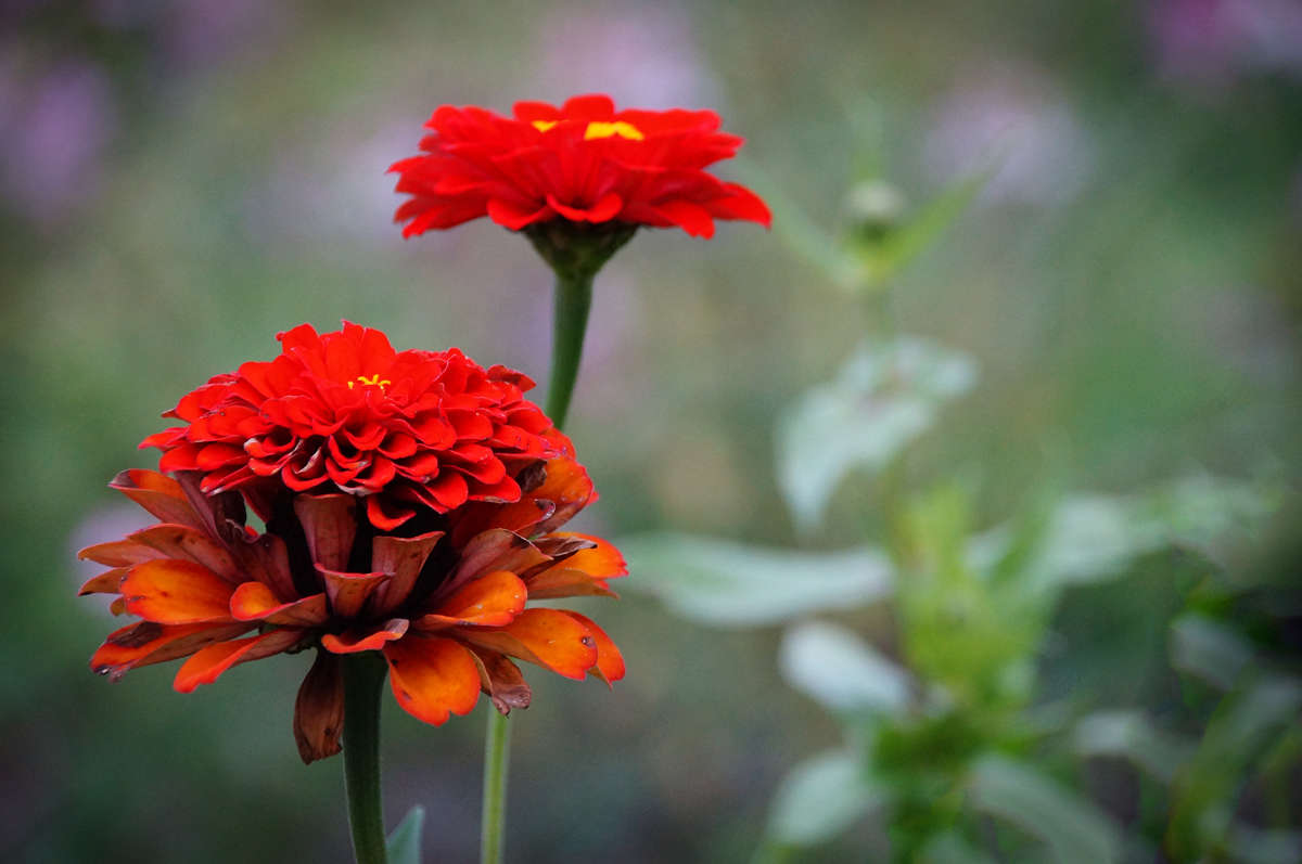 �������� ������� ����� �������  �� PhotoGeek.ru #������ ��� �������