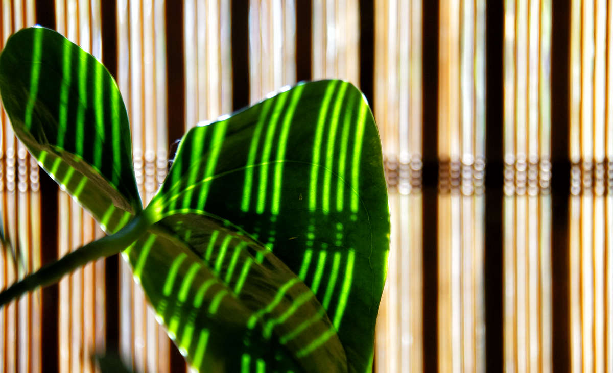 ������ ������������ ����� �������  �� PhotoGeek.ru #�������� ����������