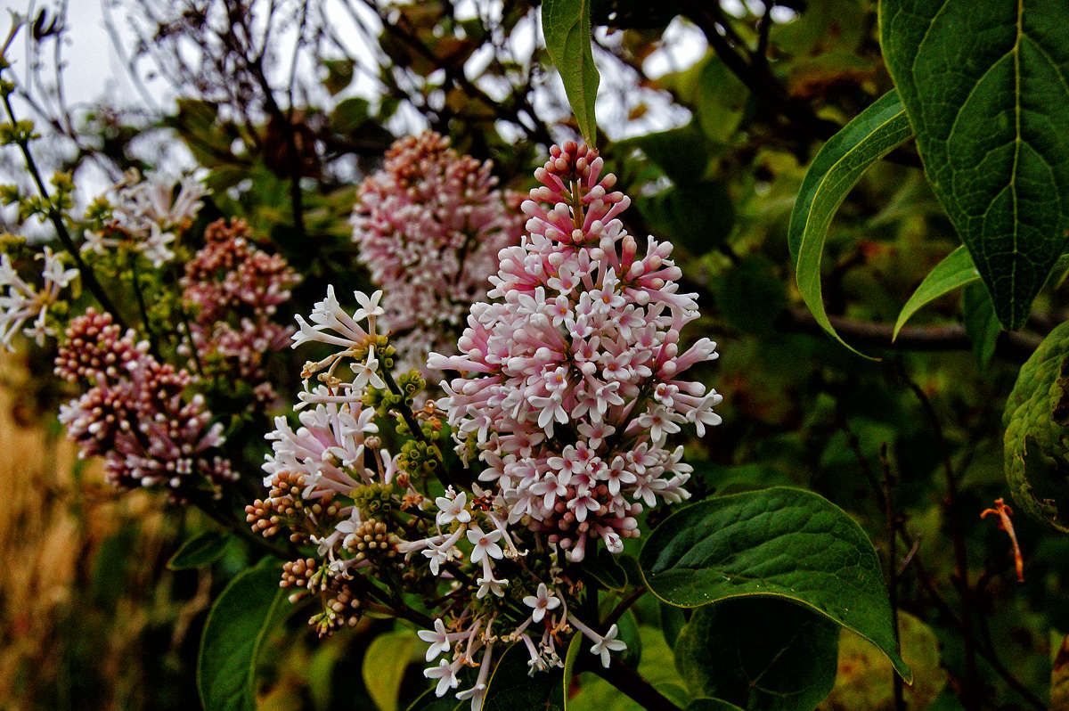 ������ �������� ������� ����� �������  �� PhotoGeek.ru #������ ��� �������