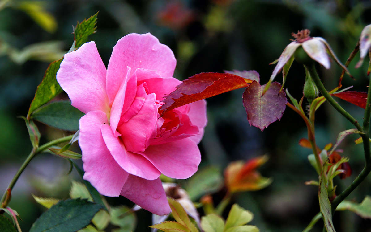 ������� ����� �������  �� PhotoGeek.ru #������ ��� �������