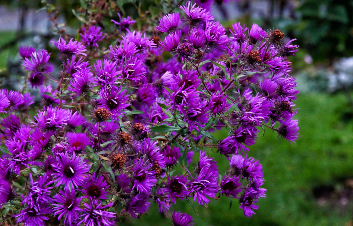 �� ���������� ����� �������  �� PhotoGeek.ru #������ ��� �������