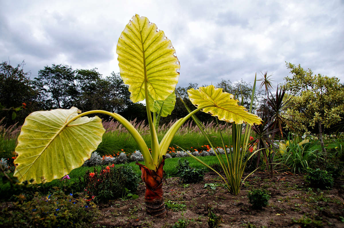 ���, ����� �������� ����� �������  �� PhotoGeek.ru #������ ��� �������