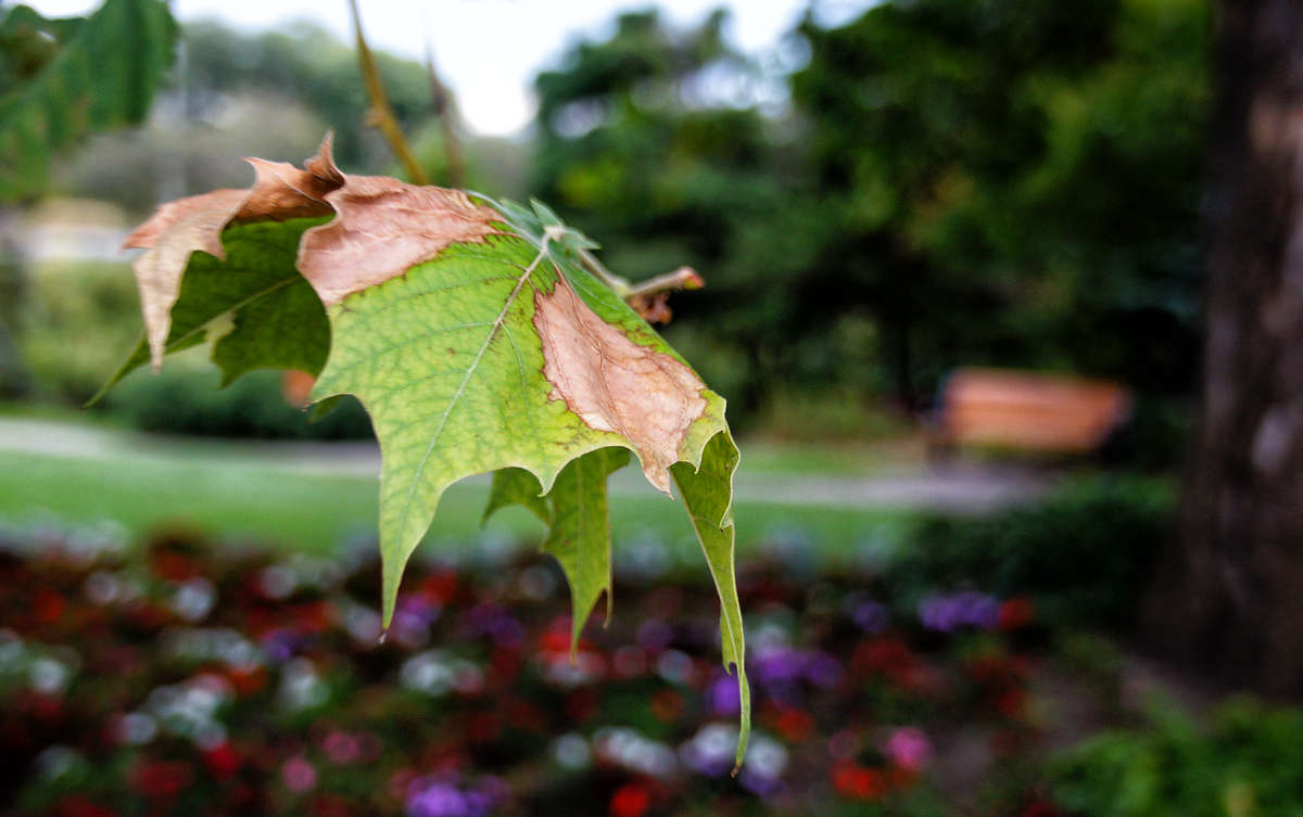 ���� �������� ����� �������  �� PhotoGeek.ru #������ ��� �������