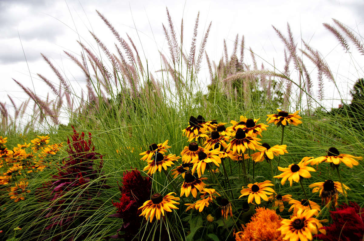 ����� �������� �������� ����� �������  �� PhotoGeek.ru #������ ��� �������