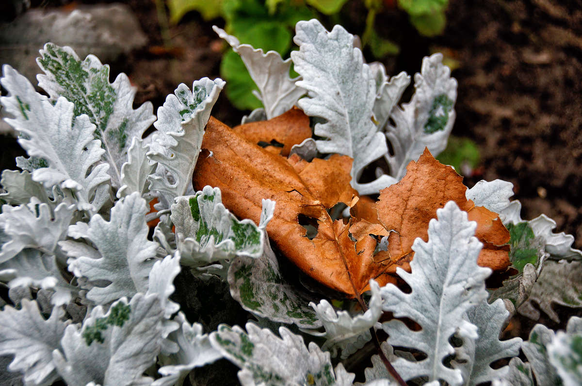 ������ �� ������ ����� �������  �� PhotoGeek.ru #������ ��� �������