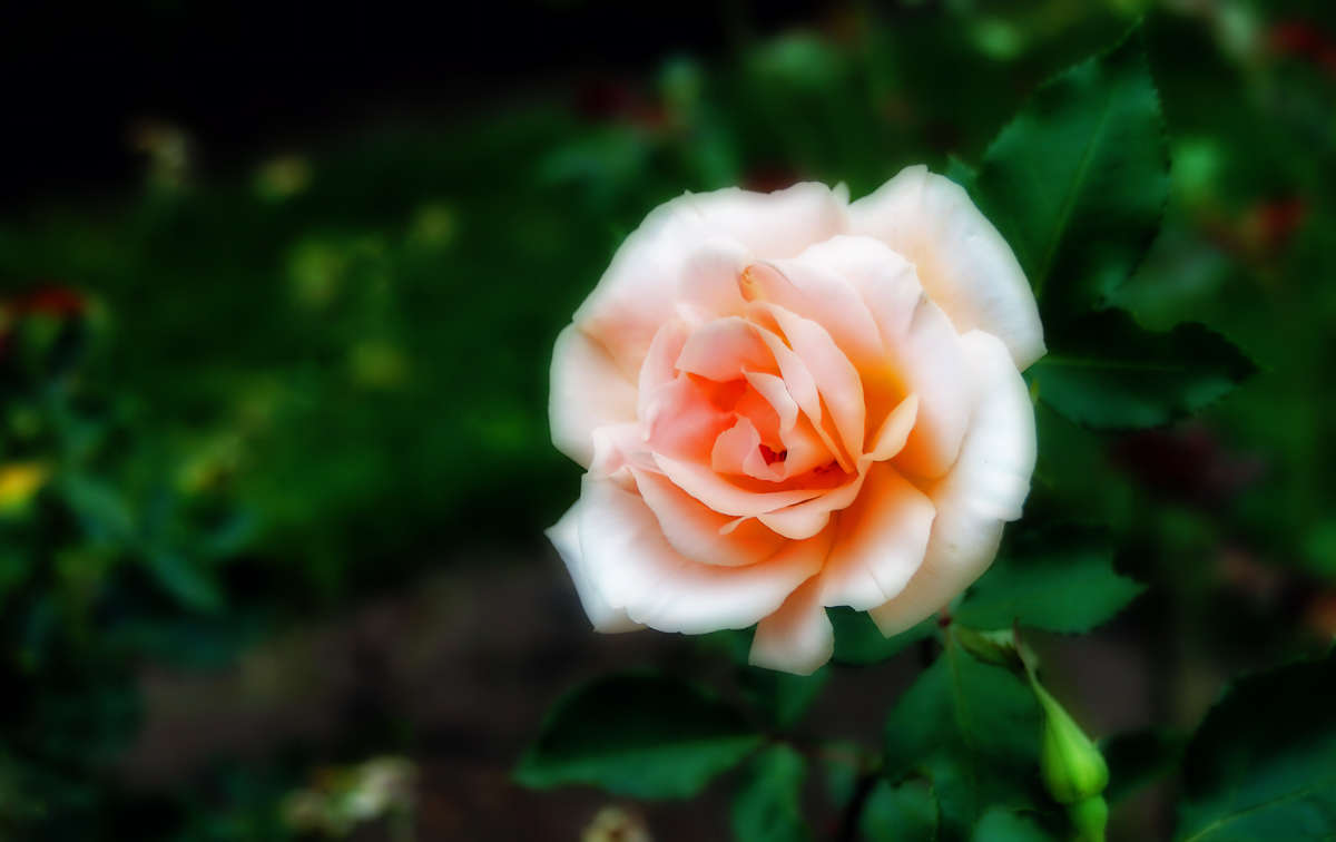 ��� ����� �������  �� PhotoGeek.ru #������ ��� �������