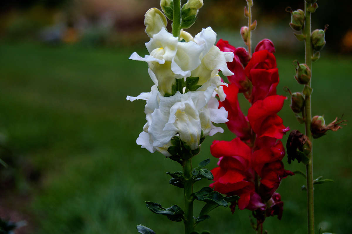 ��������� � ������� ��������� ����� �������  �� PhotoGeek.ru #������ ��� �������