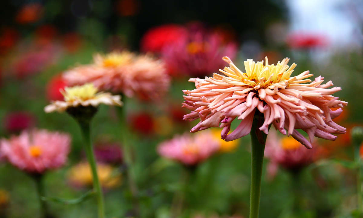 � ����� ������������� ����� �������  �� PhotoGeek.ru #������ ��� �������