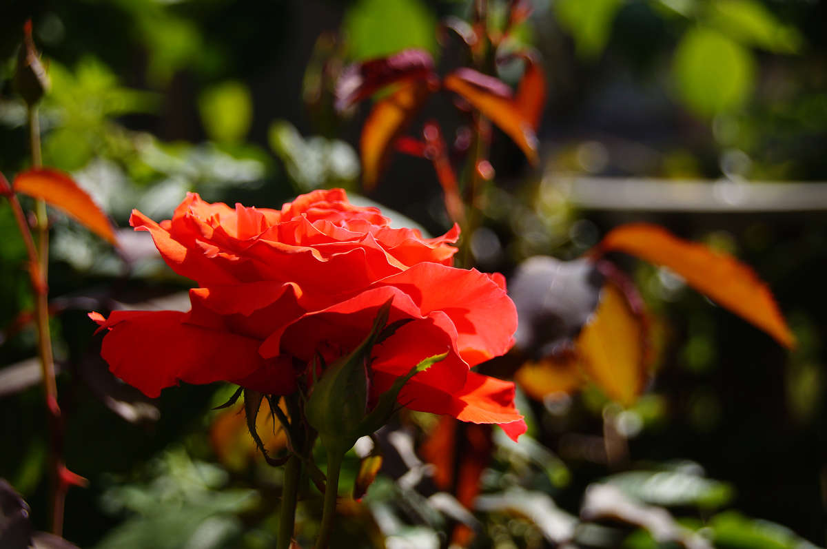 ��� ����� ����� �������  �� PhotoGeek.ru #������ ��� �������