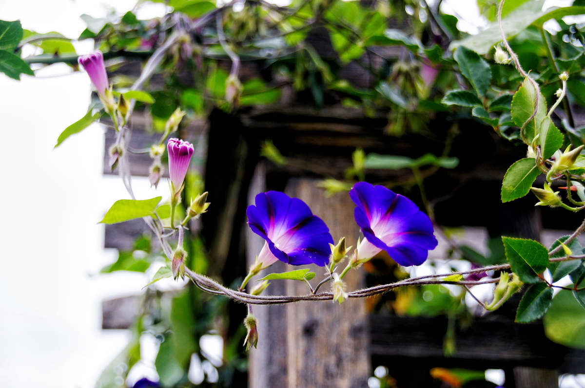 �� ���, ��� ����� ��� ����. ����� �������  �� PhotoGeek.ru #������ ��� �������