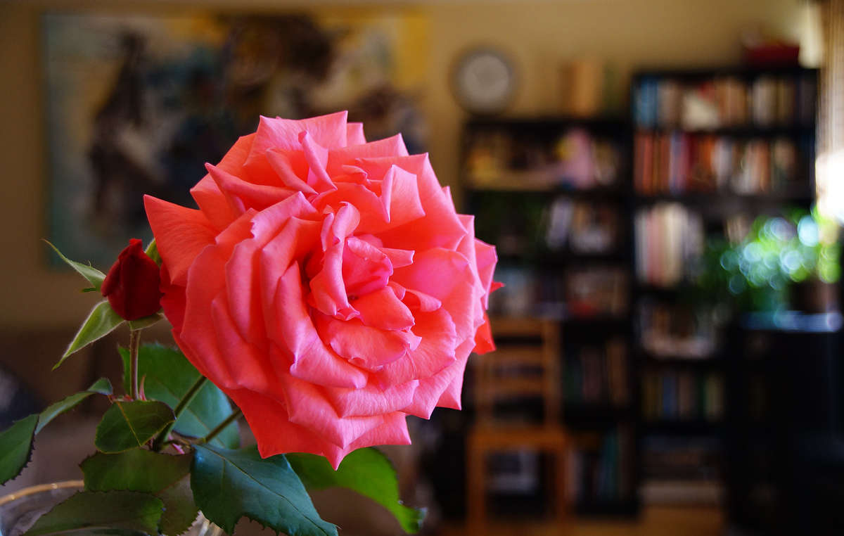 ������� � ���� ����� �������  �� PhotoGeek.ru #�������� ����������