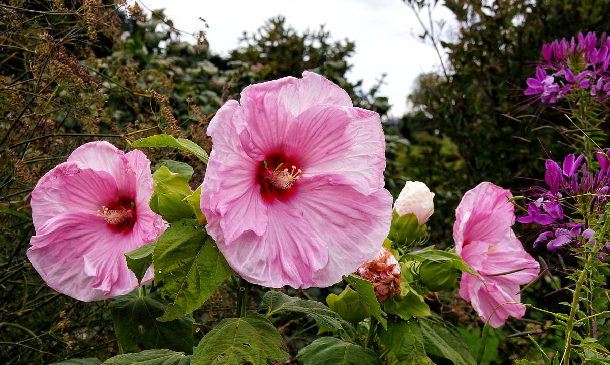 �� ��� ����� ������ �� ����� ������ ����� �������  �� PhotoGeek.ru #������ ��� �������