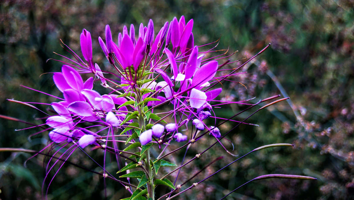 ������������� ����� �������  �� PhotoGeek.ru #������ ��� �������