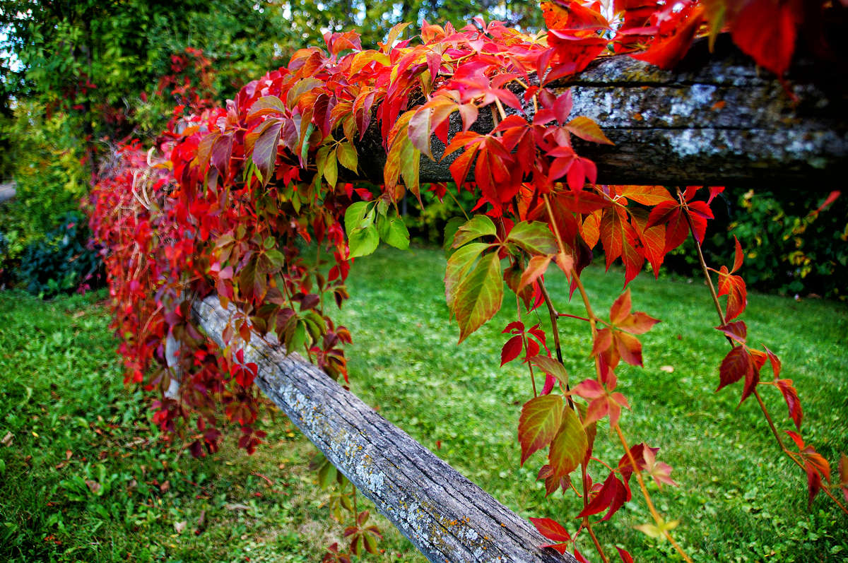 ��������� ����� ����� �������  �� PhotoGeek.ru #������ ��� �������