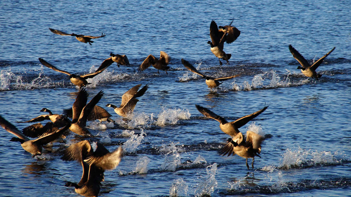 ��������� ����� �������  �� PhotoGeek.ru #�������� ���