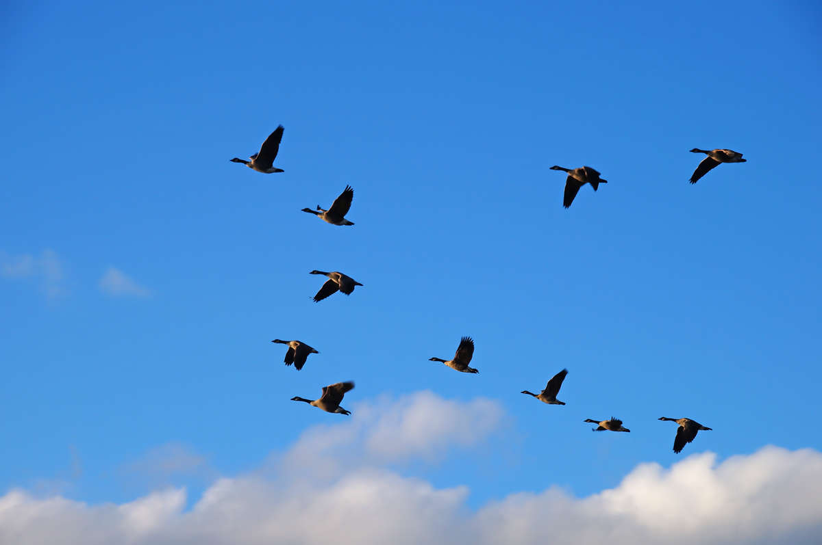 ����������� ����� �������  �� PhotoGeek.ru #�������� ���