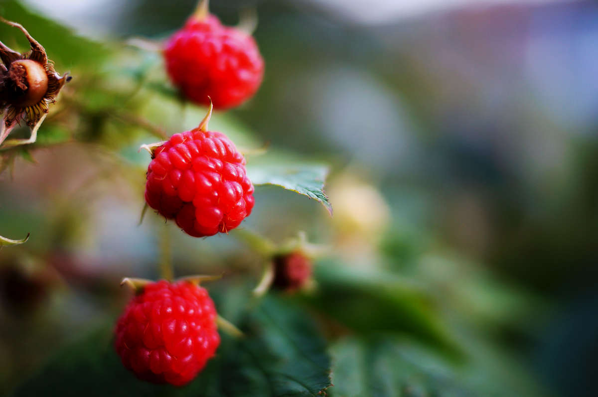 ��������� ������ ����� �������  �� PhotoGeek.ru #������ ��� �������