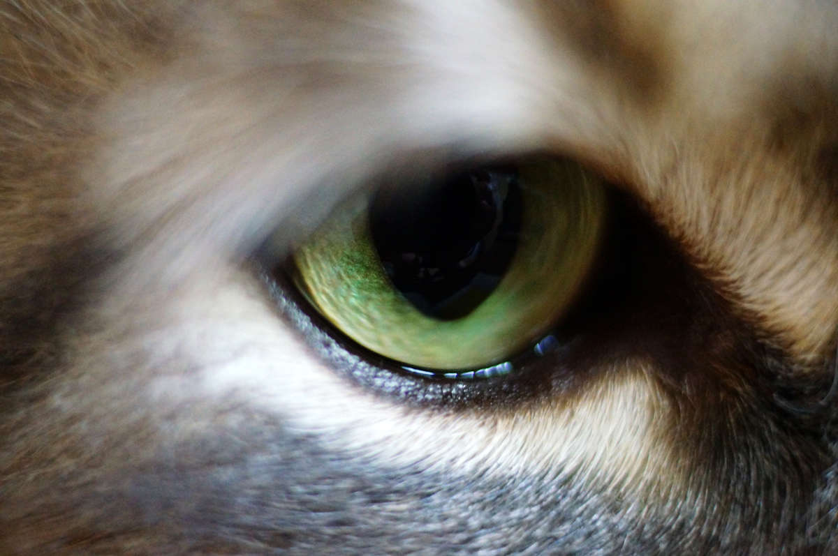 ������� ������ ����� �������  �� PhotoGeek.ru #�������� ���