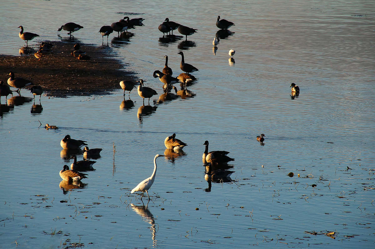 �� ������ �������� ����� �������  �� PhotoGeek.ru #�������� ��� #������ ��� �������