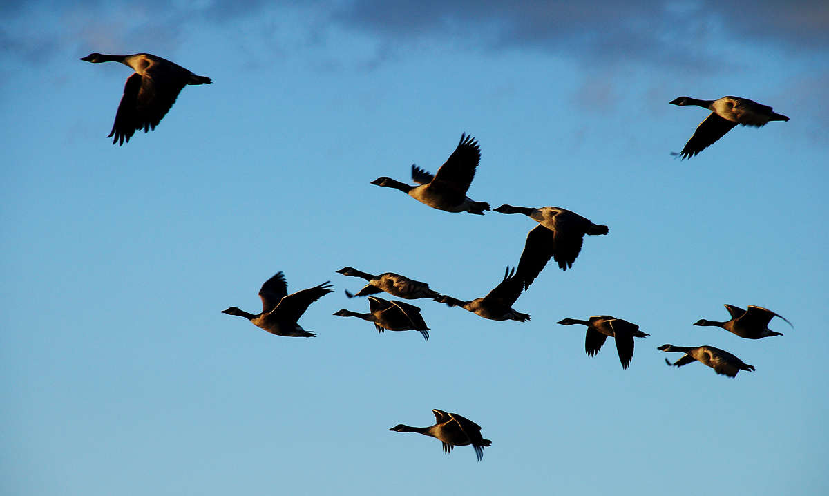 ��������� ����� ������ ����� �������  �� PhotoGeek.ru #�������� ���