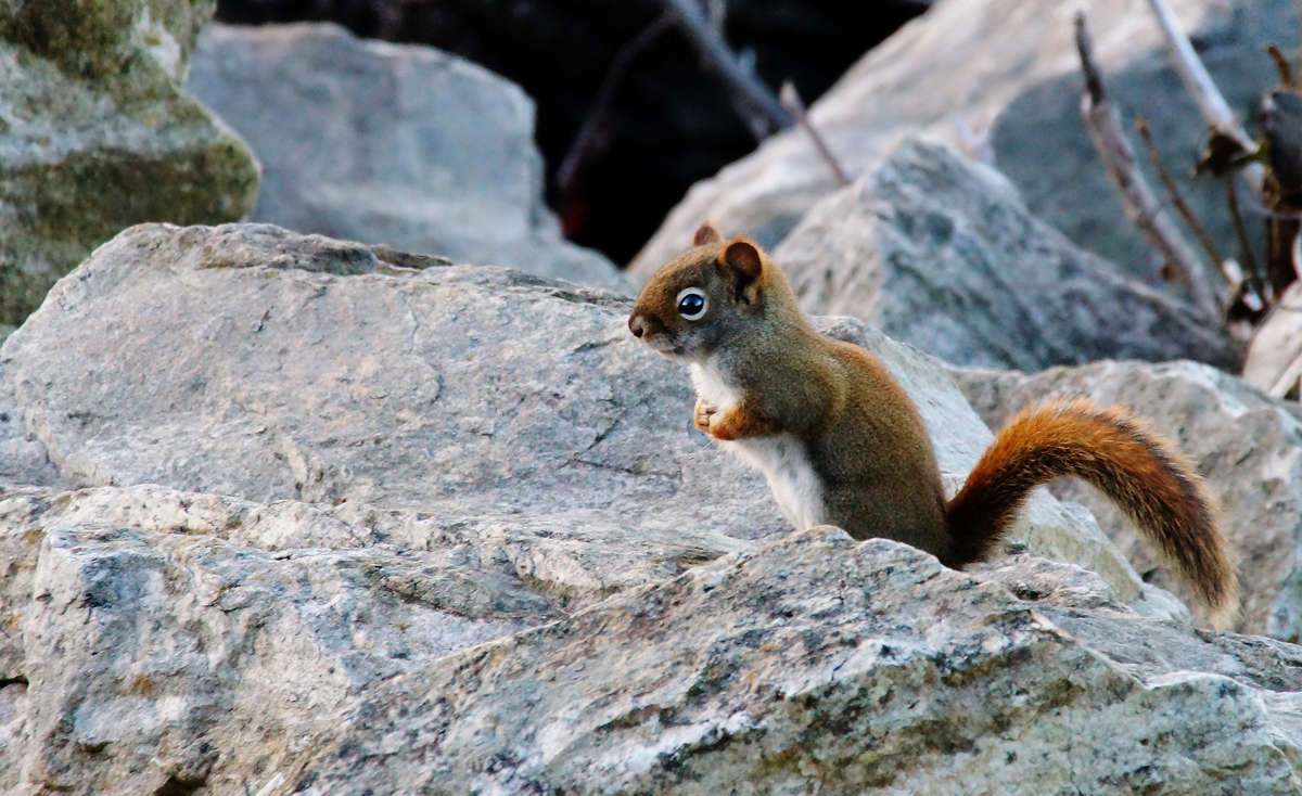 ����� ������ ����� �������  �� PhotoGeek.ru #�������� ���