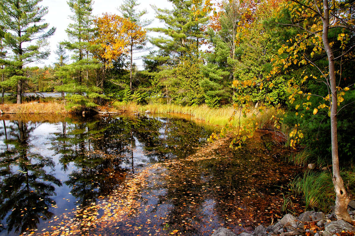 ���������� ����� �������  �� PhotoGeek.ru #������ ��� �������