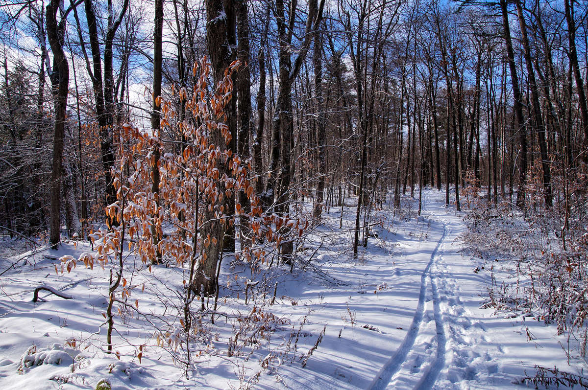 ���������� �� ����� ����� �������  �� PhotoGeek.ru #�������� ��� #�������� ����������