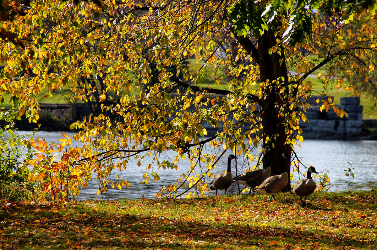 �������� ���������... ����� �������  �� PhotoGeek.ru #�������� ��� #������ ��� �������