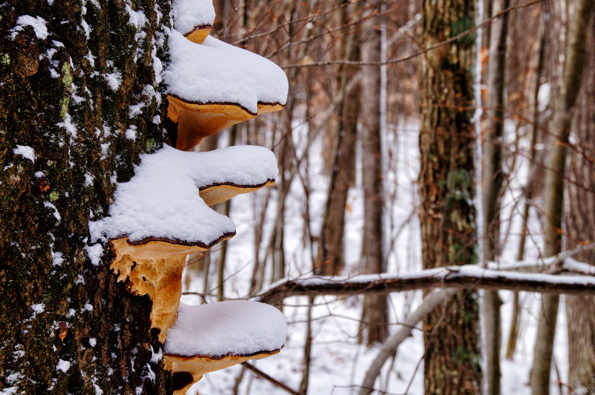 ��������� ���� ����� �������  �� PhotoGeek.ru #������ ��� �������