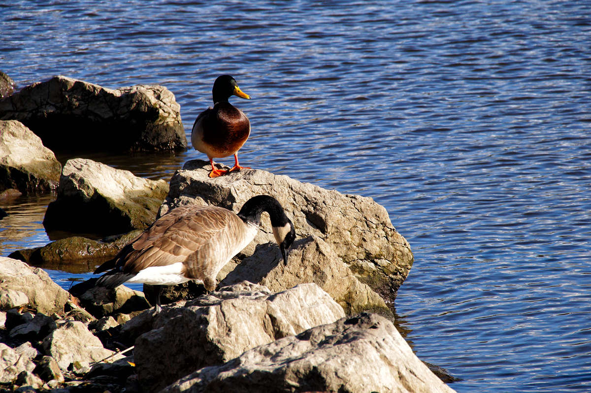 ���������� ������ ����� �������  �� PhotoGeek.ru #�������� ���