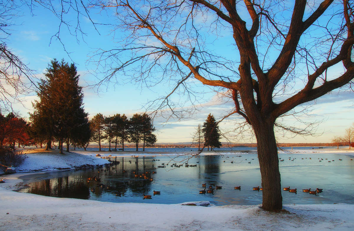 ����������� ����� �������  �� PhotoGeek.ru #�������� ��� #������ ��� �������