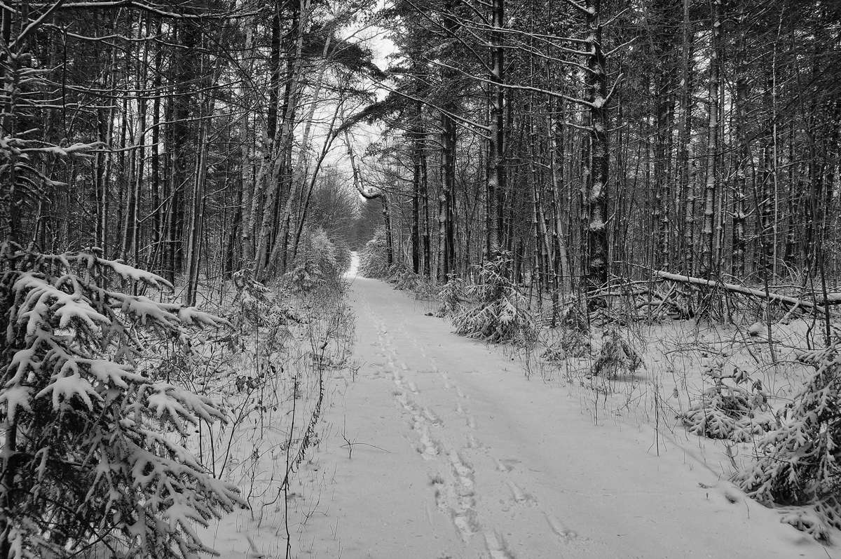 ����������� ����� �������  �� PhotoGeek.ru #������ ��� �������