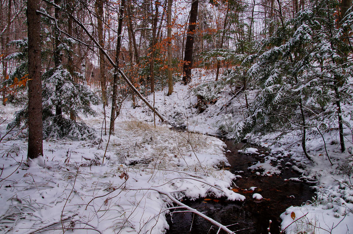 ���������� ����� ����� �������  �� PhotoGeek.ru #������ ��� �������