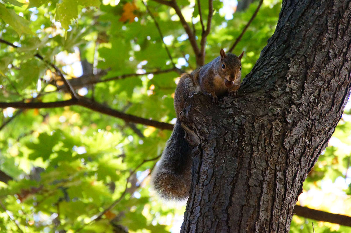 �����, ��� �������, ������ �� �����. ����� �������  �� PhotoGeek.ru #�������� ���