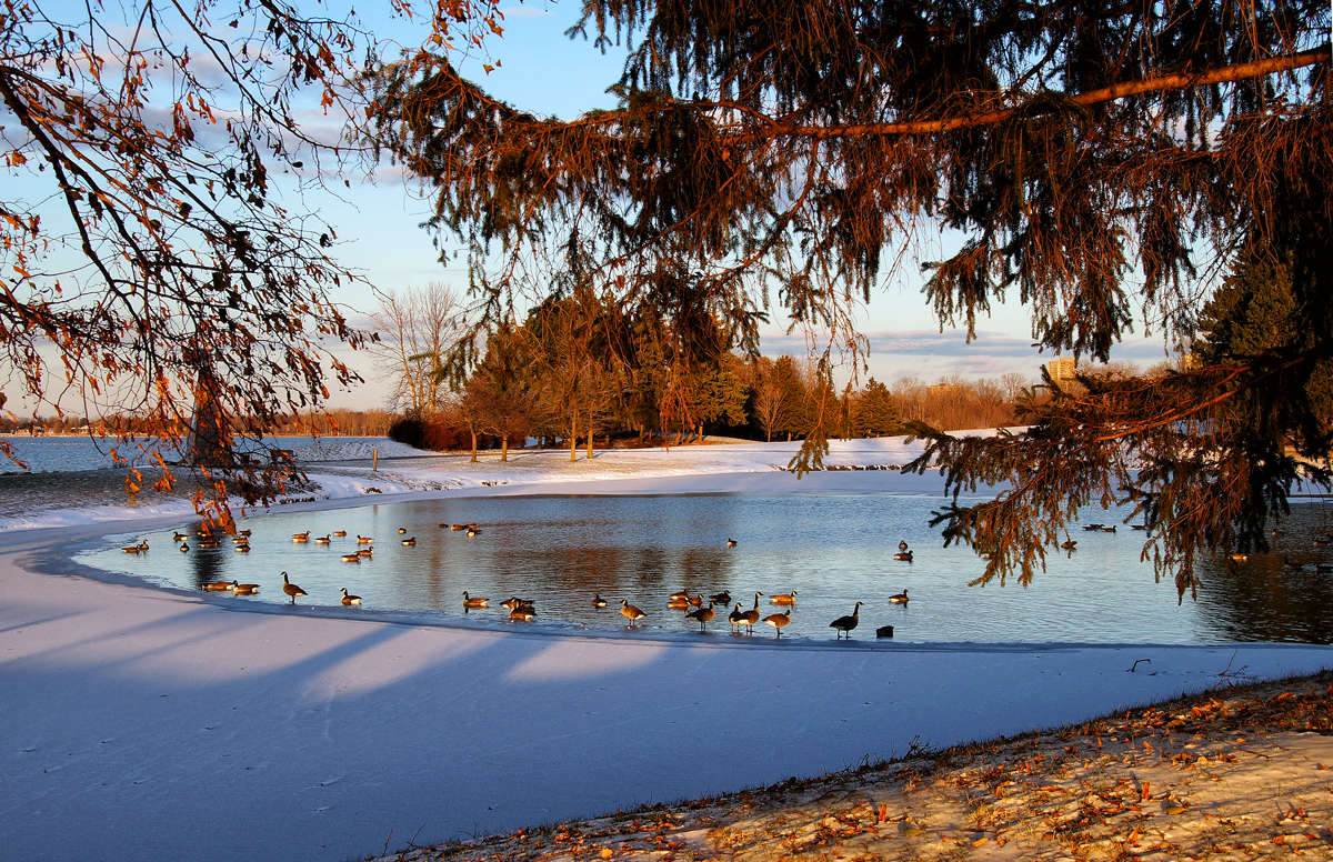 � ����� ����� �������  �� PhotoGeek.ru #������ ��� �������