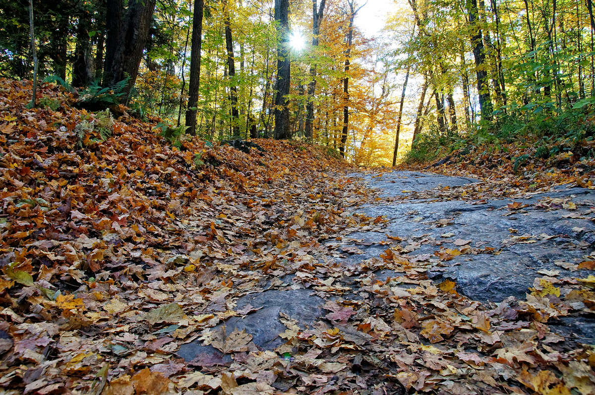 ����� �� �������� ����� �������  �� PhotoGeek.ru #������ ��� �������