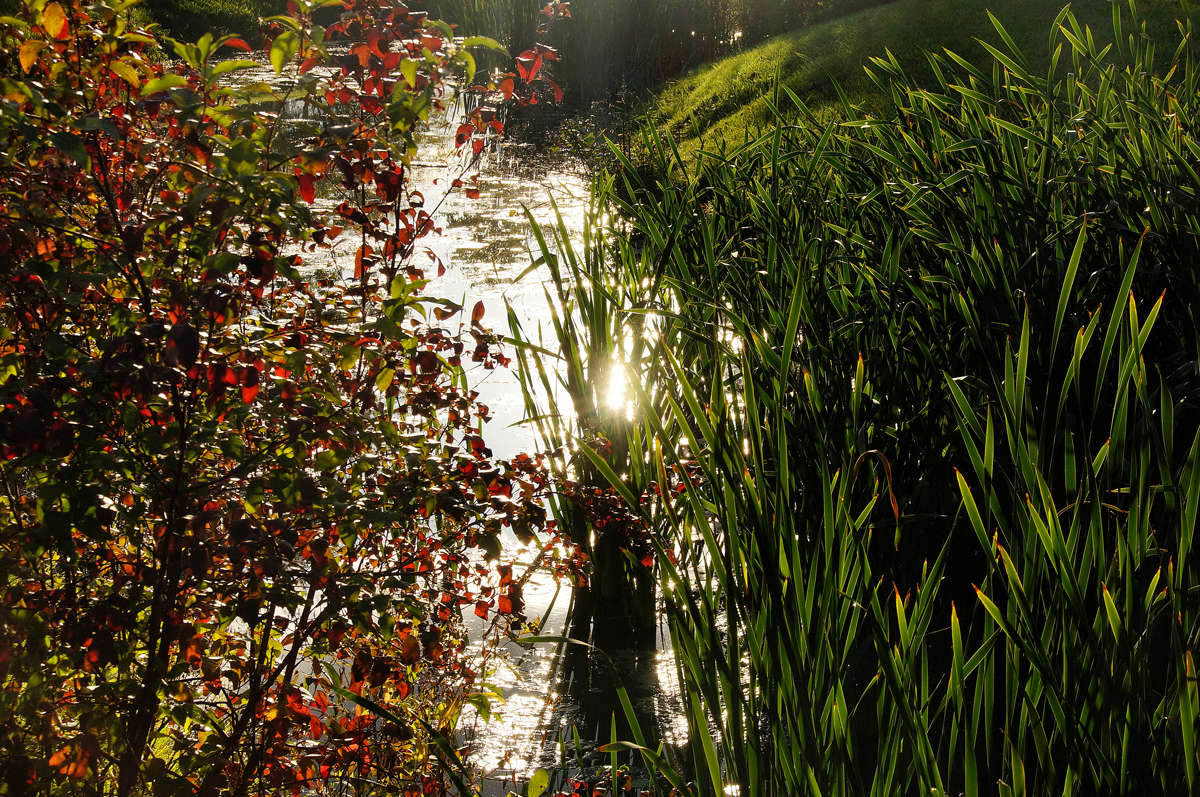 ����������� ����� �������  �� PhotoGeek.ru #������ ��� �������