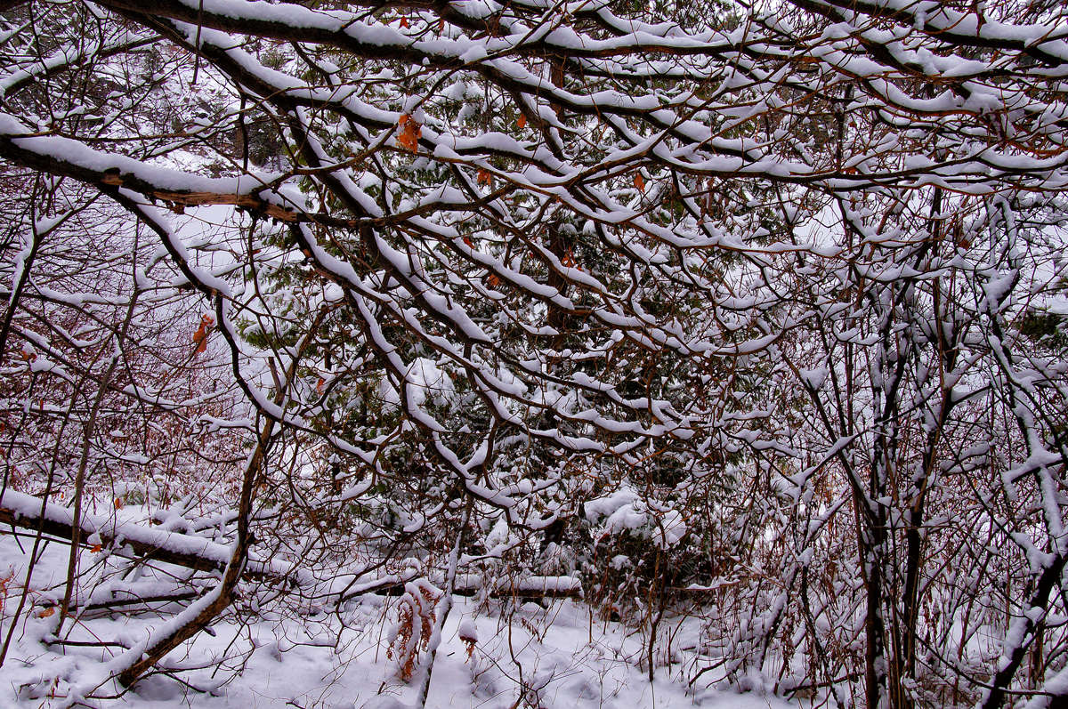 ��������� ����� �������  �� PhotoGeek.ru #������ ��� �������