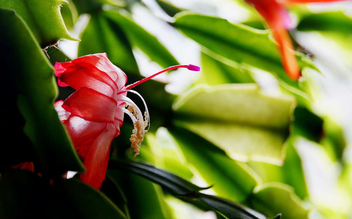 ���������� ����� �������  �� PhotoGeek.ru #������ ��� �������