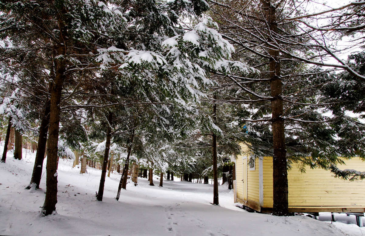 �������� ����� �������  �� PhotoGeek.ru #������ ��� �������