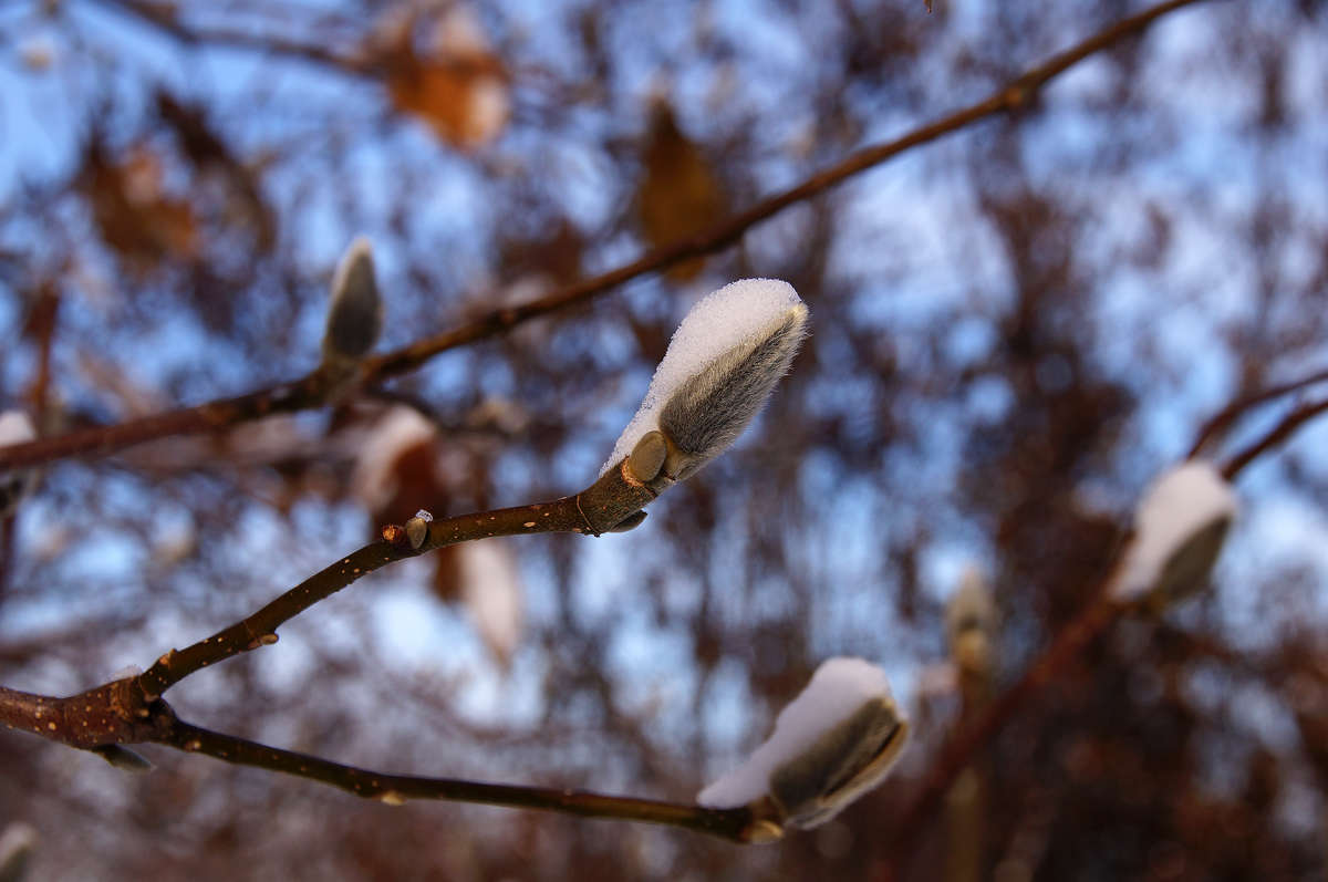 �������������� ����� �������  �� PhotoGeek.ru #������ ��� �������